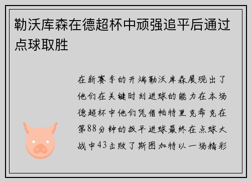勒沃库森在德超杯中顽强追平后通过点球取胜
